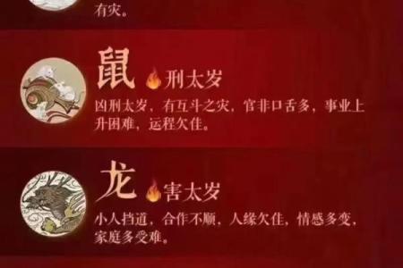 属鸡本命年如何面对事业上的失败？