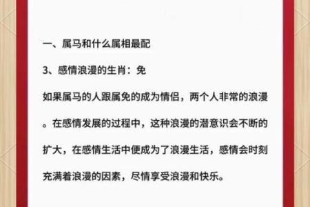 结婚属相配对的最佳指南与建议