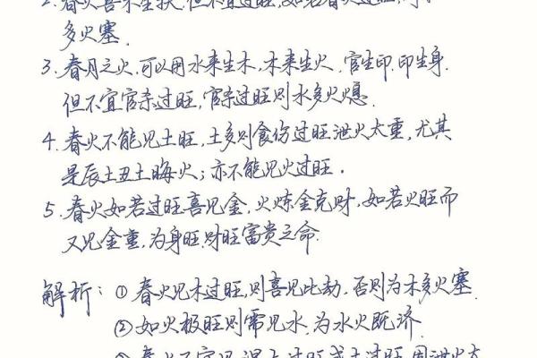 火命元的定义与特征解析