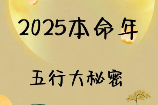 本命年属蛇如何调节情感波动