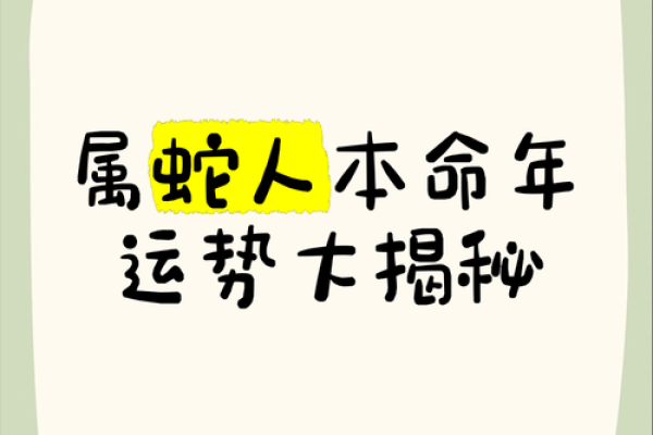 本命年属蛇如何调节情感波动