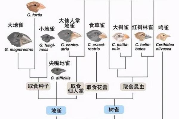 箭命的起源与解读：你了解吗