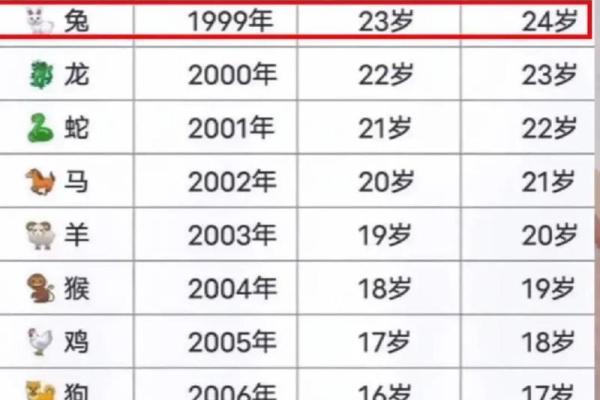 兔女如何在本命年实现个人目标