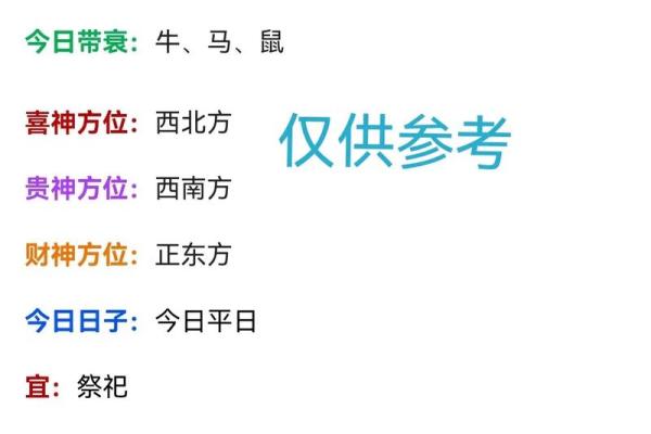 兔女如何在本命年实现个人目标