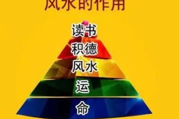 揭秘五虎命的真正含义与背后的文化象征