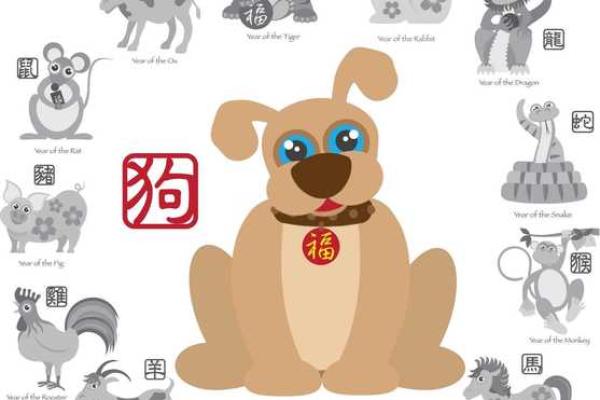 揭秘五虎命的真正含义与背后的文化象征