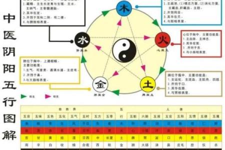 甲命命理解析：五行中的木元素之代表