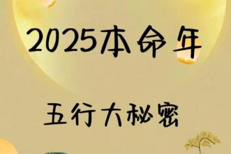 本命年属蛇如何调节情感波动