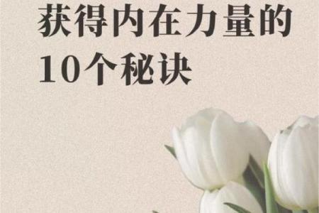 解读命硬女人的内在力量与独特魅力