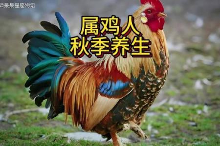 属鸡人如何在本命年做出事业突破