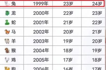 兔女如何在本命年实现个人目标