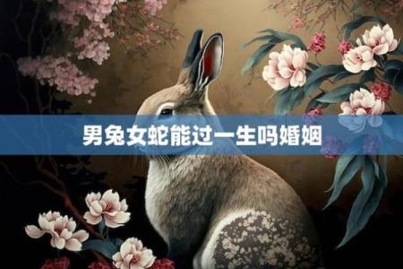 属兔女与属牛男的爱情契合度如何
