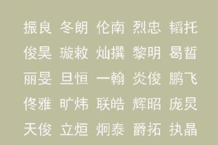 生辰八字起名字大全免费测试，助你挑选最吉利的名字！