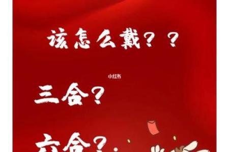 兔男本命年的人际关系指南