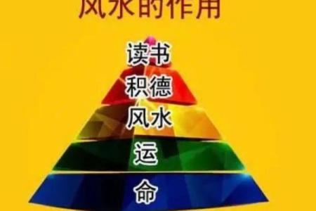 揭秘五虎命的真正含义与背后的文化象征