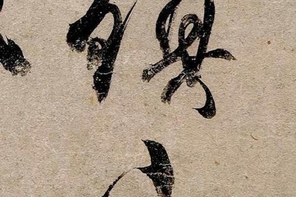 金贱命：财富与命运的无常交织