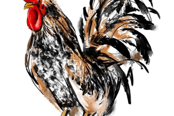属鸡本命年如何增强财务安全感？
