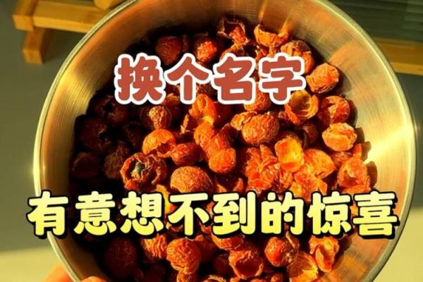 这些最搞笑名字你绝对想不到