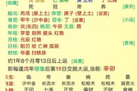 生辰八字全解析，免费测试你的命运走向！