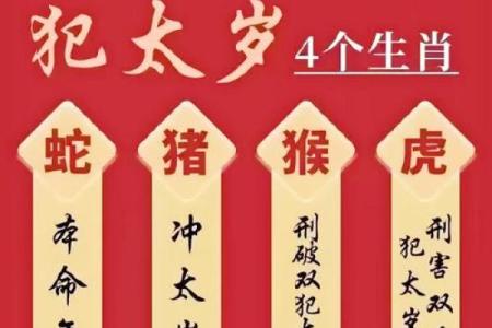 属虎本命年如何面对人生的转折点
