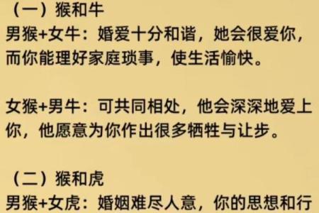 男属兔女属猴是否合适的婚姻配对分析