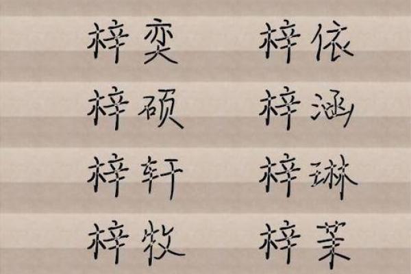 梓字与男孩名字的独特魅力