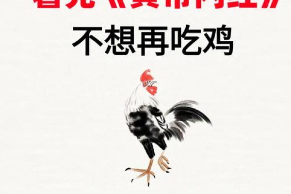 猪肉与鸡肉搭配好不好？食物组合的健康影响分析