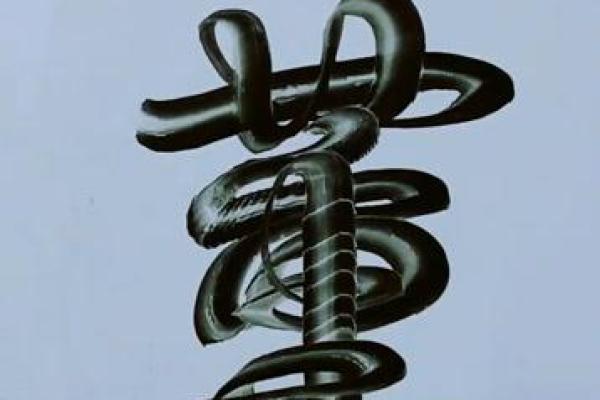 探寻姓董的文化传承与名字背后的故事