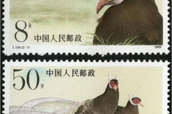 马鸡是否是理想的配对选择? 马鸡是否是理想的配对选择?