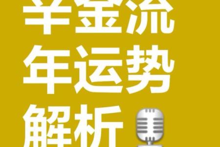 金命缺什么会影响命运的五大方面