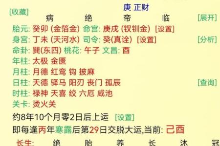 探索明珠生辰八字，掌握命运的关键