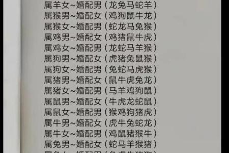 男羊女牛配对如何？揭秘这段婚姻的优缺点