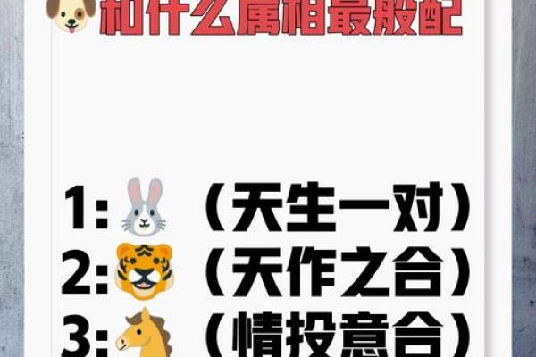 属狗与属马的爱情是否长久