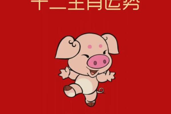 属猪和哪些属相最为相配，最佳搭配解析