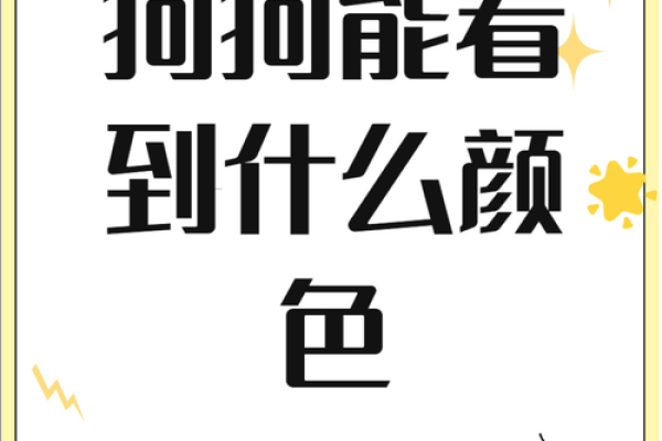 如何判断狗与狗之间的匹配度?专家来解答 如何判断狗与狗之间的匹配度?专家来解答