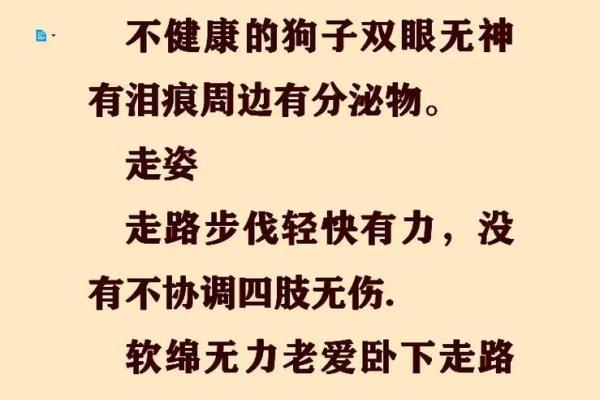 如何判断狗与狗之间的匹配度?专家来解答 如何判断狗与狗之间的匹配度?专家来解答
