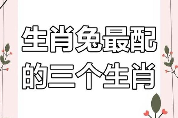 女兔男狗婚姻配对分析：缘分还是挑战？
