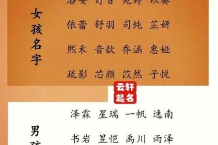 如何为男孩挑选一个简单且独特的名字