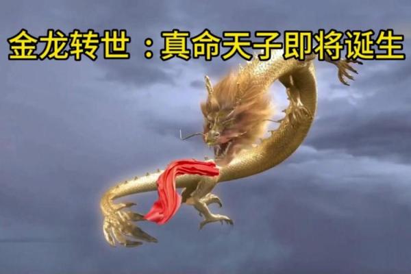 金龙命的出生特点与命运走向
