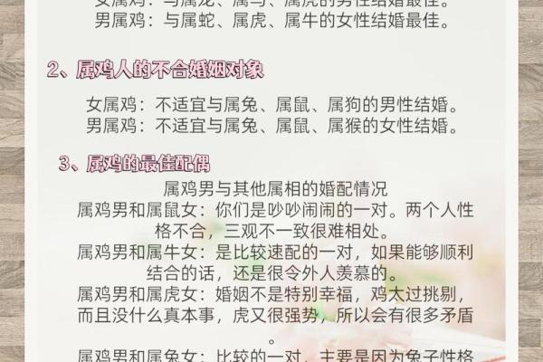 属鼠女与属鸡男是否合适的性格配对