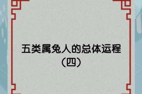 兔虎相配的性格碰撞与和谐：从命理角度看两者的关系