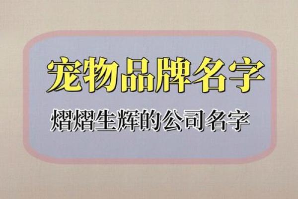 为你的宠物小可爱挑选一个充满爱意的名字