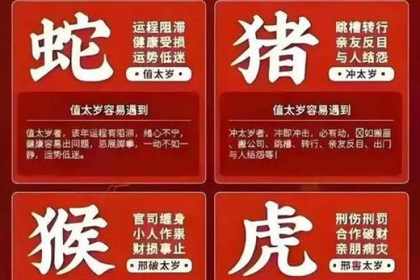 属兔与属鼠的性格契合度分析