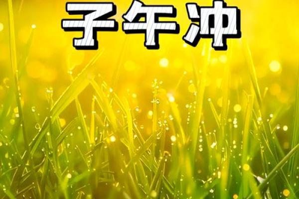 解析双凤之命：命理中的幸运与挑战