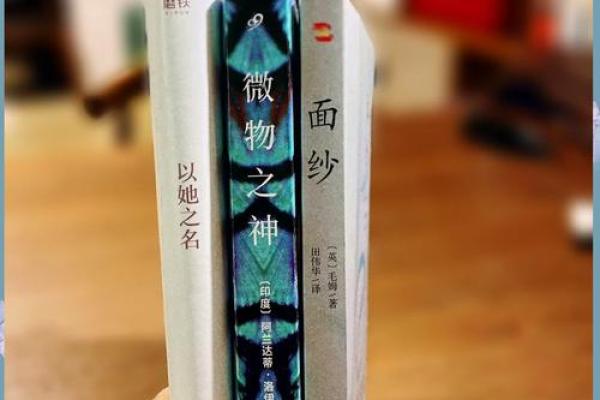 揭开命运面纱，测试你的生命轨迹