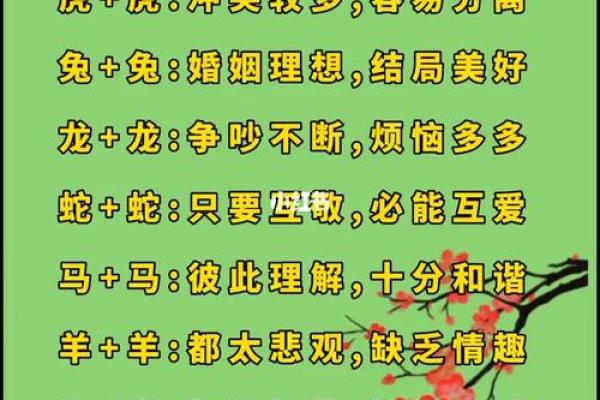 女马与男羊的配对：激情与冲突的平衡