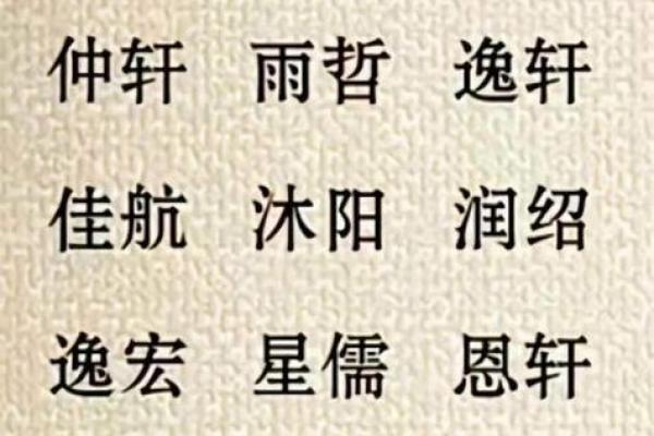 朱字名字的寓意与文化背景解析