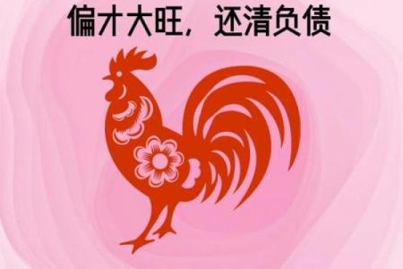 属鸡本命年如何应对生活中的不确定性？