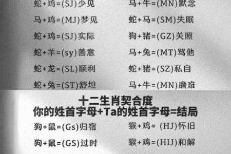 属兔与属鼠的性格契合度分析