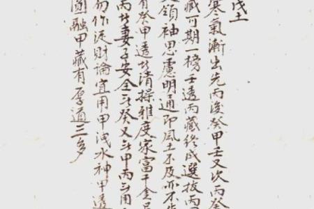 揭秘文进贵命：命运的关键因素之一